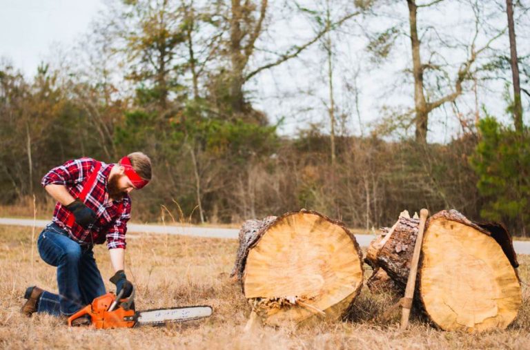 The Horrors Of Stump Grinding: Pay To Get Destroyed