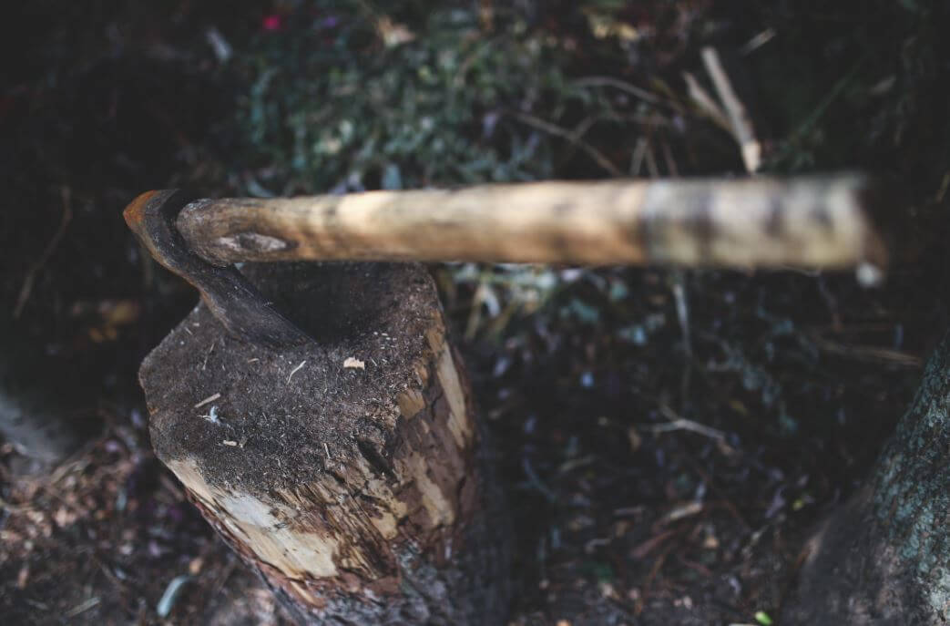 cutting tree stump